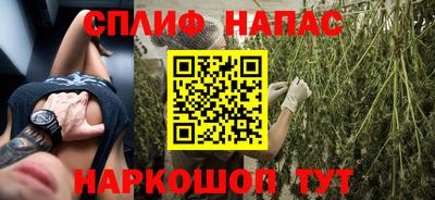 mdpv Славгород