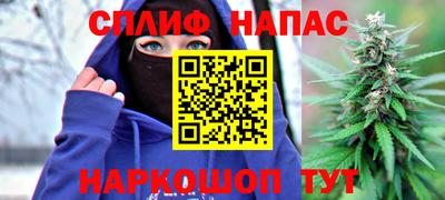 mdpv Славгород