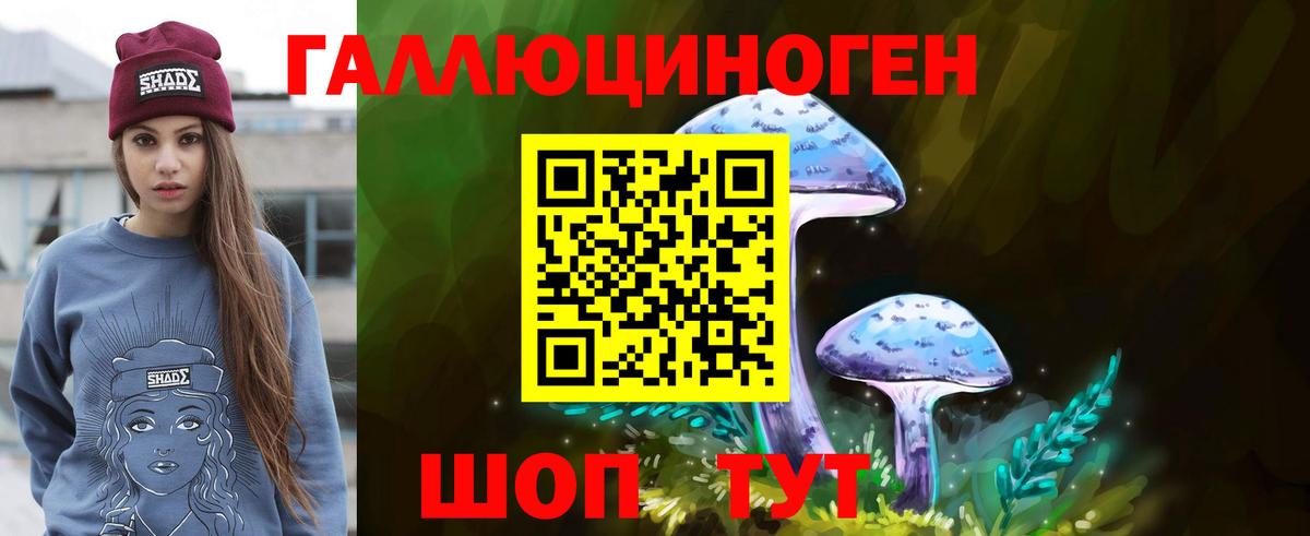 Псилоцибиновые грибы GOLDEN TEACHER Новотроицк